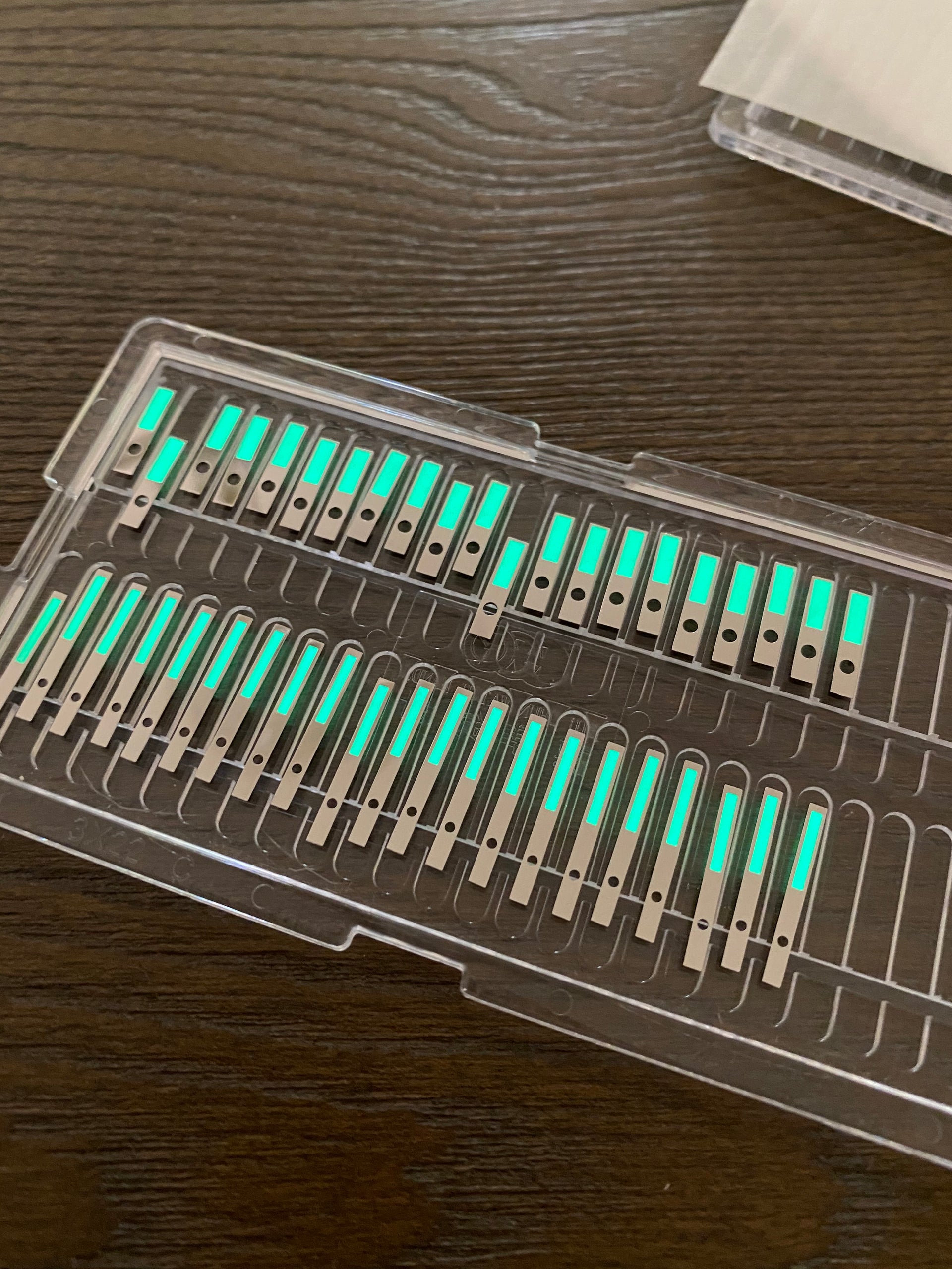 "Sea Storm" Dive Watch - Limited Run Skin Diver - With Date - Seals Watch Co