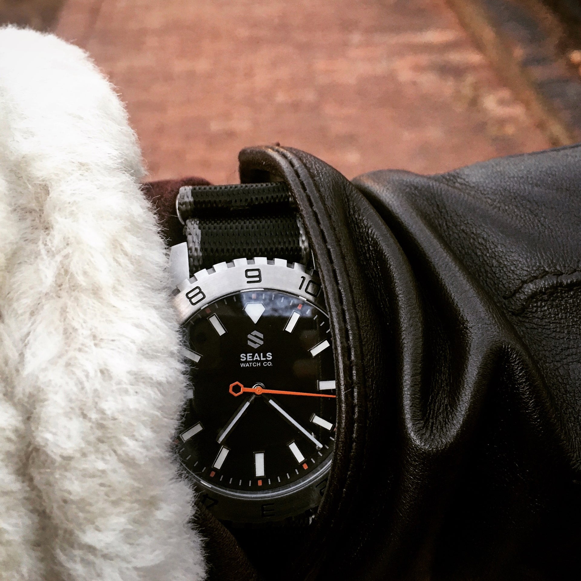 Dark Seal 200M Water Resistant Automatic Sport Watch - American Microbrand